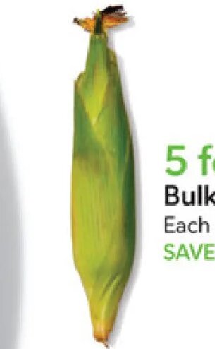 Bulk Sweet Corn at Publix