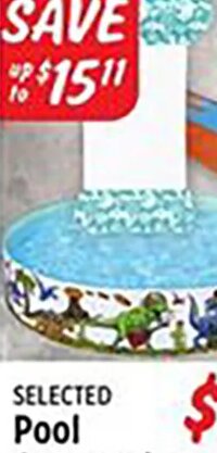 Selected Pool Accessories