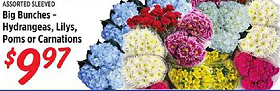 Big Bunches - Hydrangeas, Lilys, Poms or Carnations
