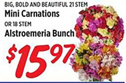 Big, Bold and Beautiful 21 Stem Mini Carnations OR 18 Stem Alstroemeria Bunch