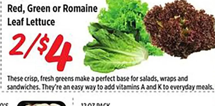 Red, Green or Romaine Leaf Lettuce