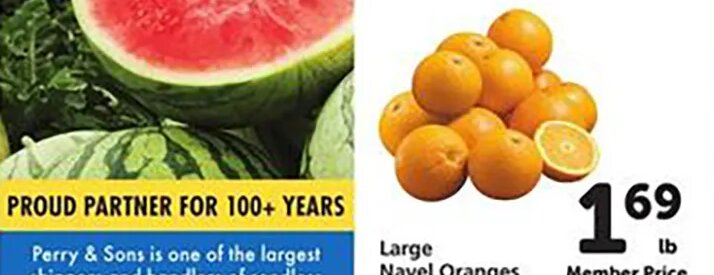 Large Navel Oranges at Safeway