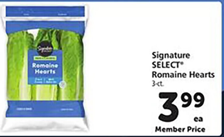 Signature SELECT Romaine Hearts