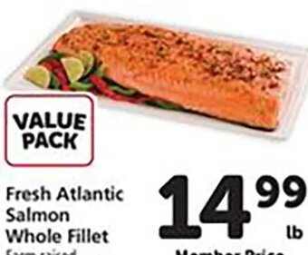 Fresh Atlantic Salmon Whole Fillet