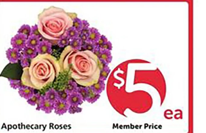 Apothecary Roses