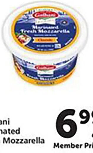 Galbani Marinated Fresh Mozzarella