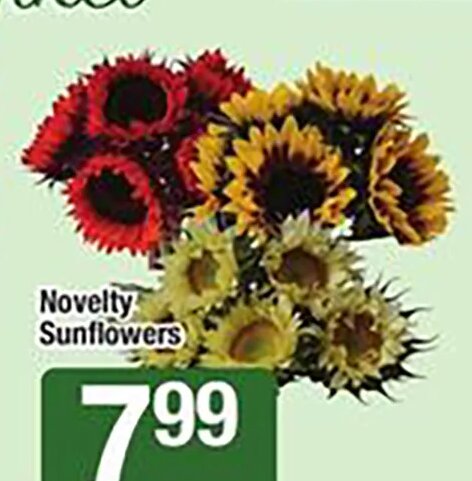 Novelty Sunflowers