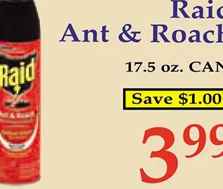 Raid Ant & Roach