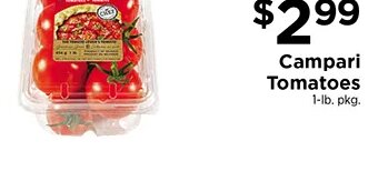 Campari Tomatoes
