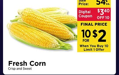 Fresh Corn