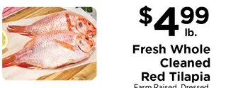Fresh Whole Cleaned Red Tilapia