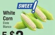 White Corn