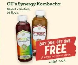 GT's Synergy Kombucha