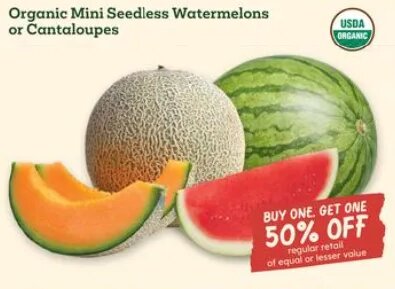 Organic Mini Seedless Watermelons or Cantaloupes