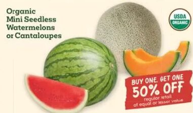 Organic Mini Seedless Watermelons or Cantaloupes