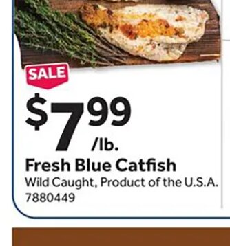 Fresh Blue Catfish