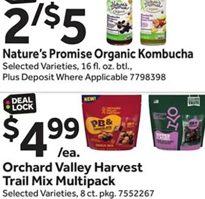 Nature's Promise Organic Kombucha