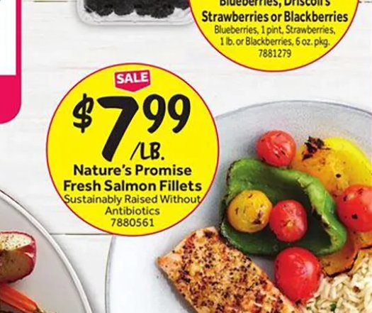 Nature's Promise Fresh Salmon Fillets