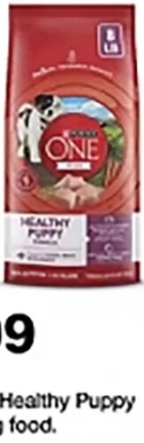 Purina ONE Healthy Puppy dry dog food at Target