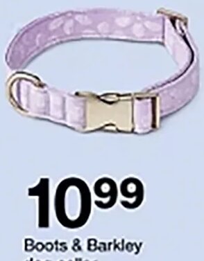 Boots & Barkley dog collar