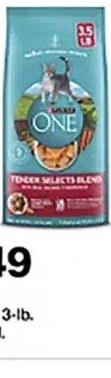 Purina ONE dry cat food at Target