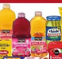 Rockstar/Dannon/Nissin
