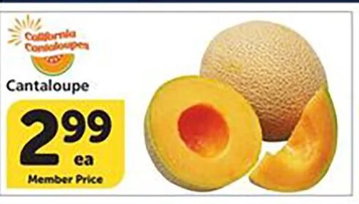 Cantaloupe