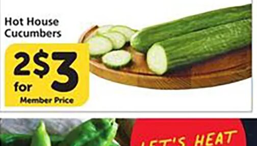 Hot House Cucumbers