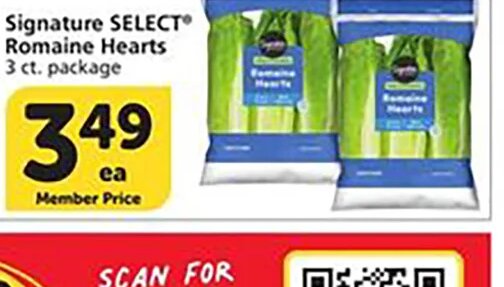 Signature SELECT Romaine Hearts