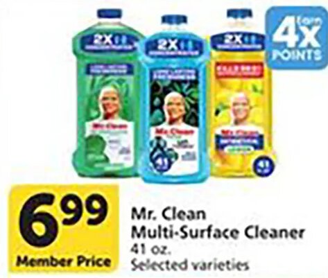 Mr. Clean Multi-Surface Cleaner