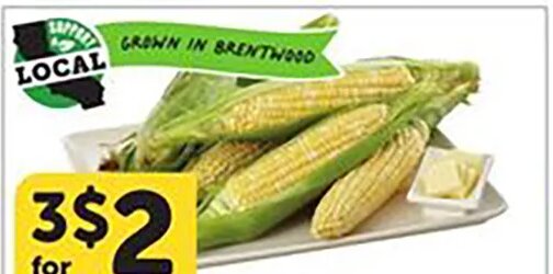 Sweet Corn at Vons
