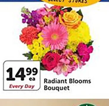Radiant Blooms Bouquet