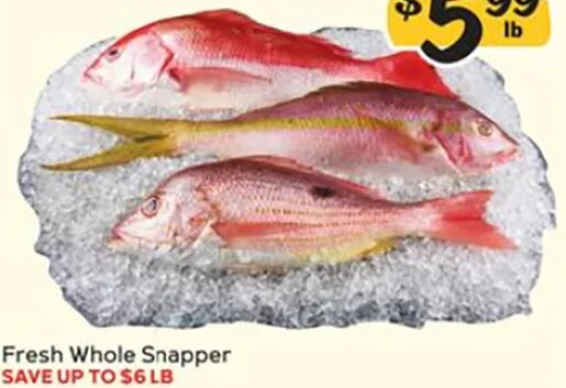 Fresh Whole Snapper